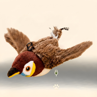 Pajarito Interactivo